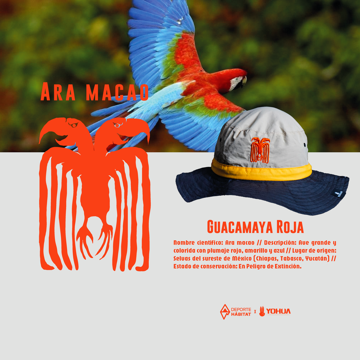 Ara Macao- Fisherman Hat