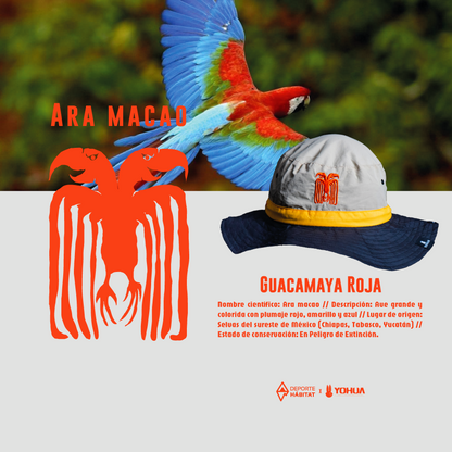 Ara Macao- Fisherman Hat