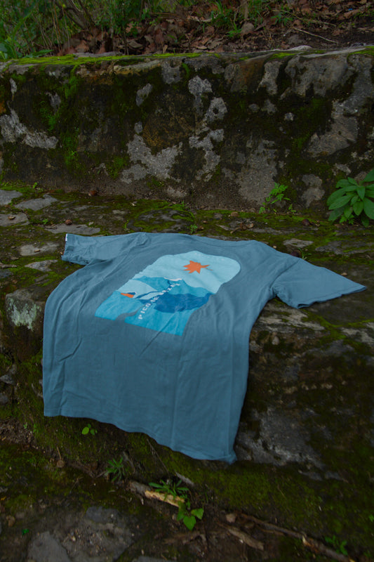 Playera Pico de Orizaba