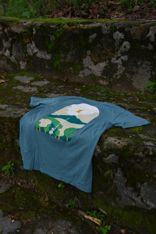 Playera Popocatépetl