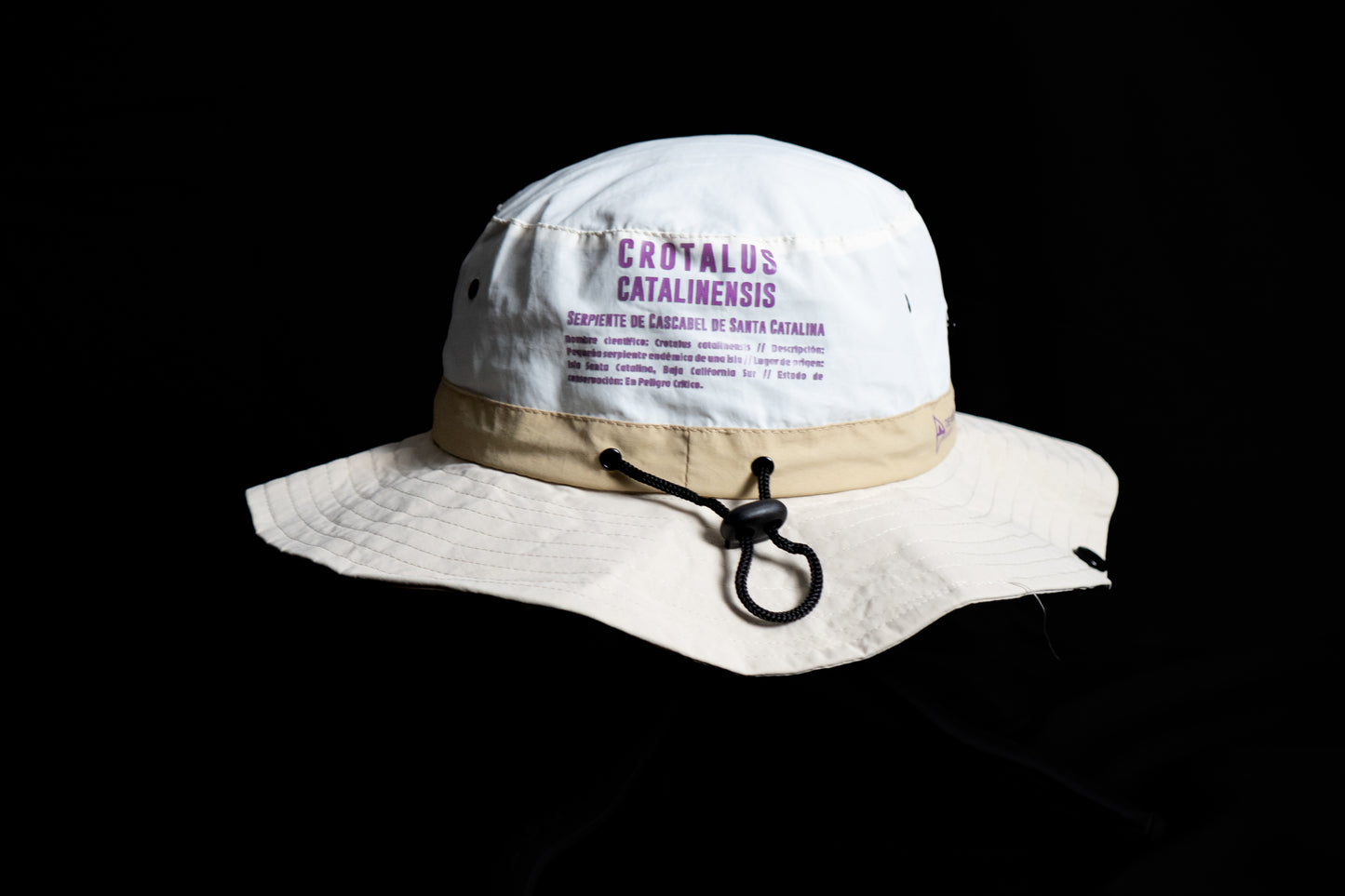 Crotalus catalinensis - Fisherman Hat