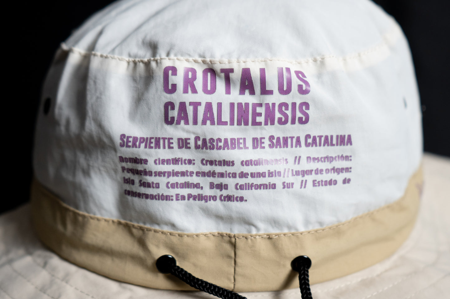 Crotalus catalinensis - Fisherman Hat